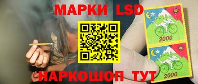ешки Камышлов
