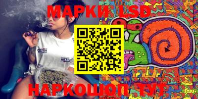 ешки Камышлов