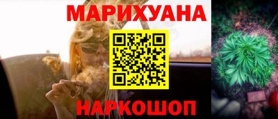 МДПВ Кингисепп